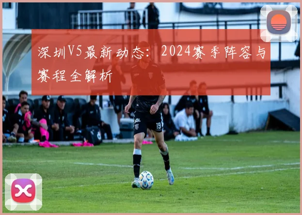 深圳V5最新动态:2024赛季阵容与赛程全解析