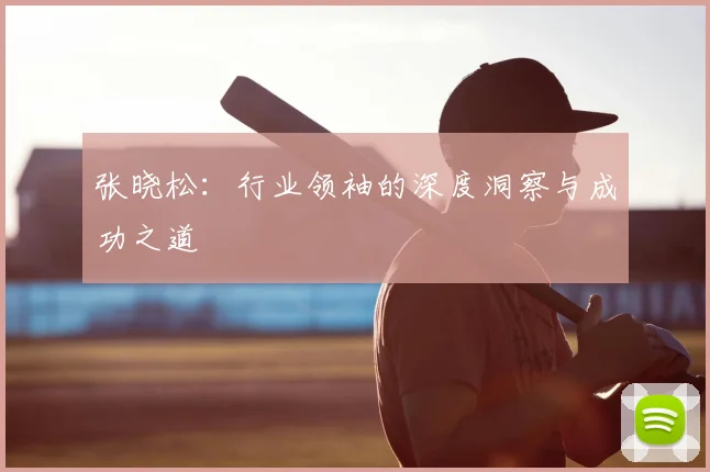 张晓松:行业领袖的深度洞察与成功之道