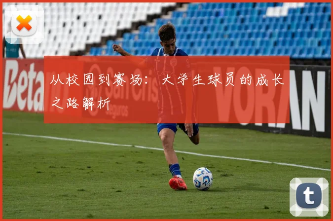 从校园到赛场：大学生球员的成长之路解析