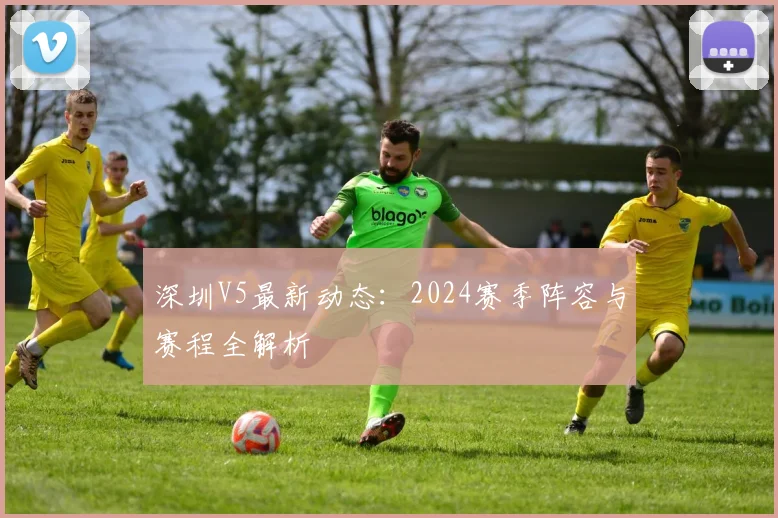 深圳V5最新动态：2024赛季阵容与赛程全解析