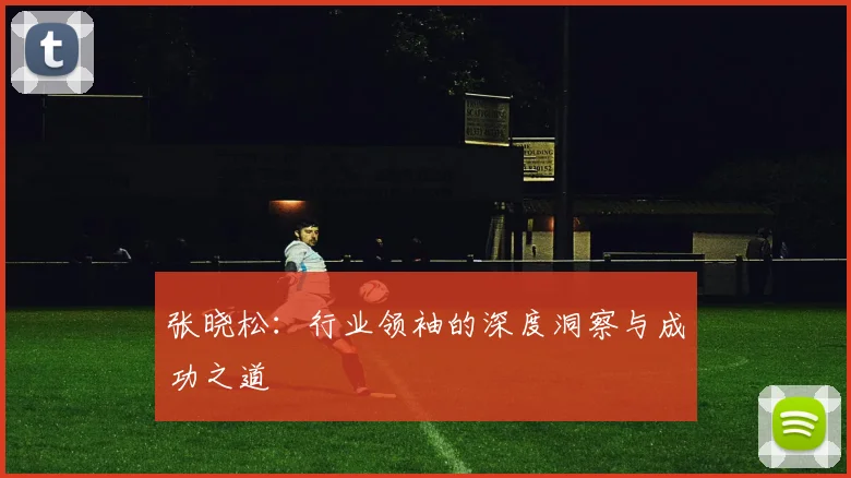 张晓松：行业领袖的深度洞察与成功之道